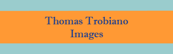 Thomas Trobiano Images Banner
